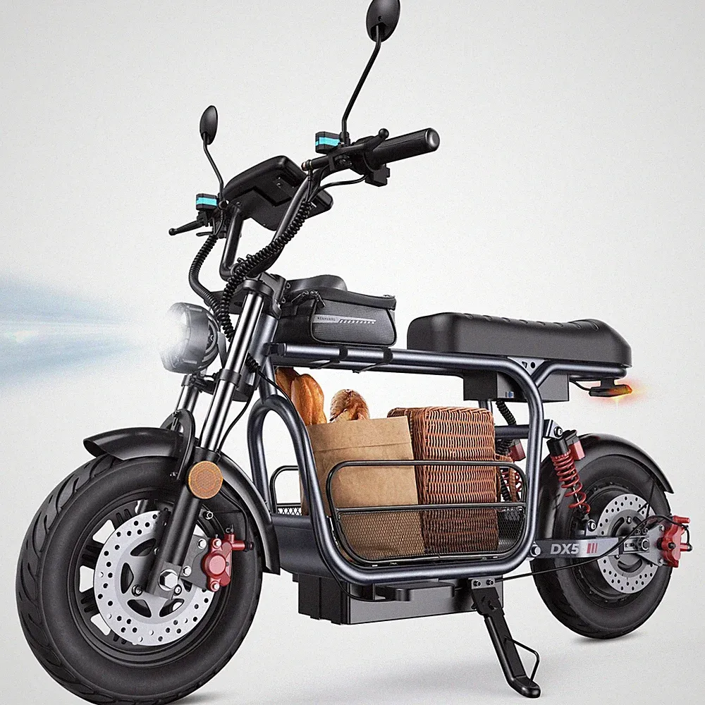 6 Speeds Cargo Bike
