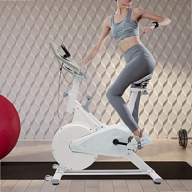 Stationary Exercise Bike Cycling Indoor Cycling Bike Home Gym Cardio Workout